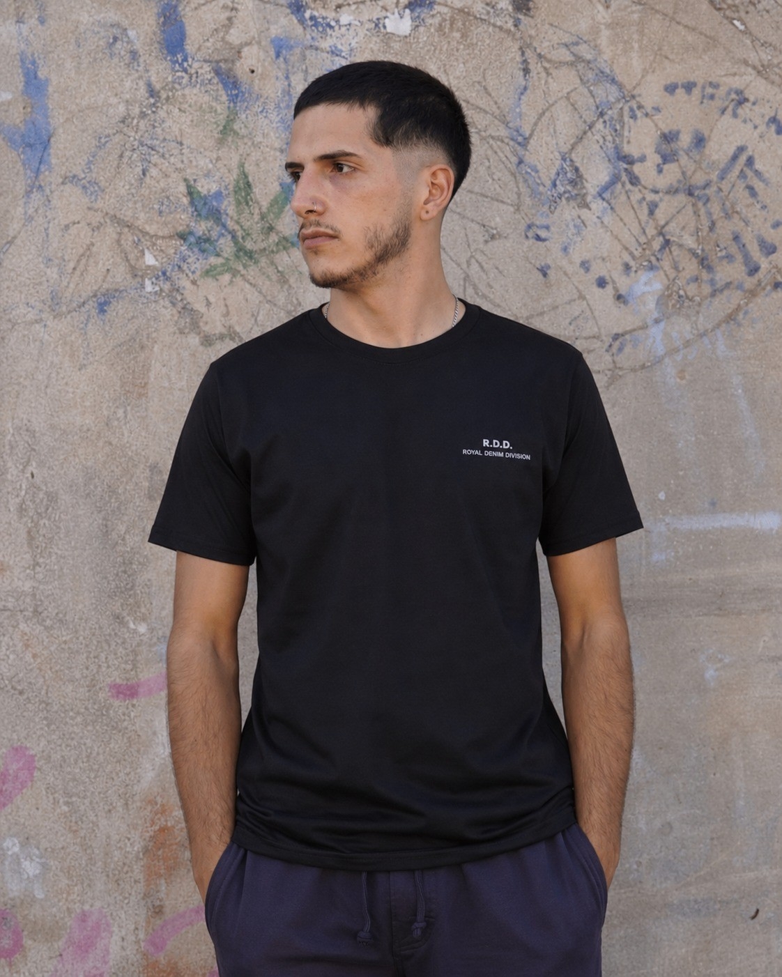 Remera Algodón Peinado - Imagen 2