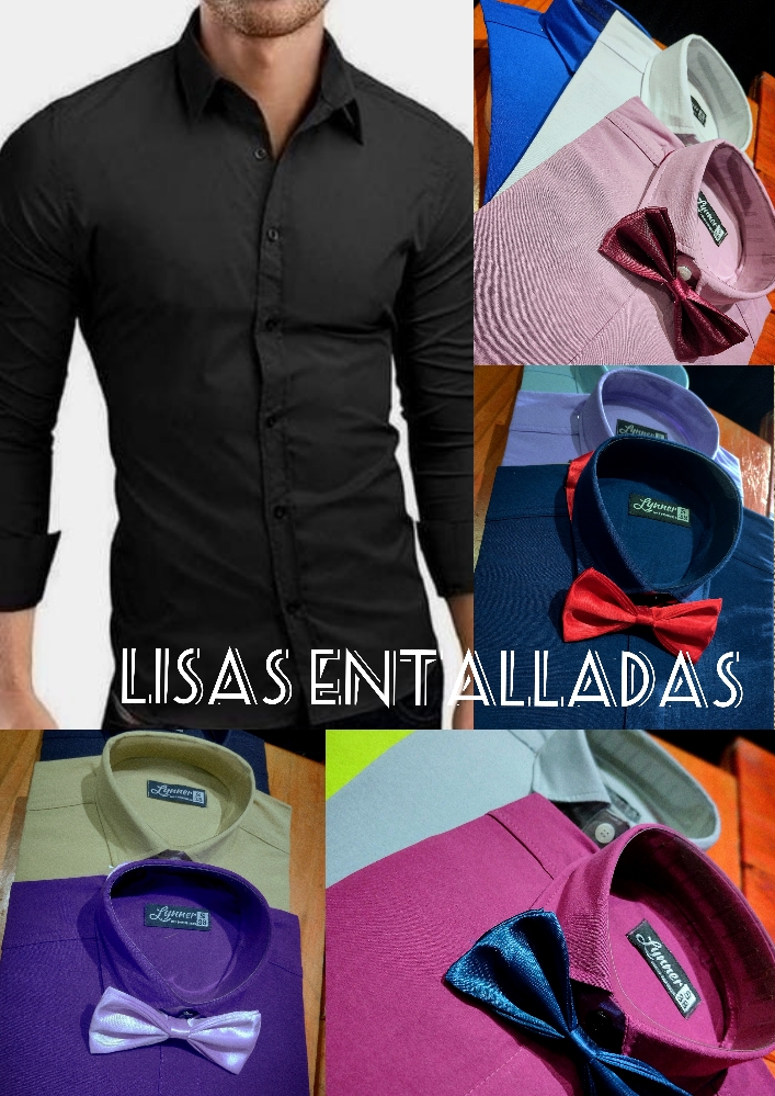 Camisas Entalladas Lisas - Imagen 1