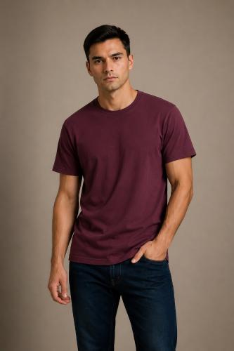 Remeras  Lisas Algodón Peinado(c)