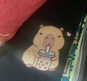 Tororo Cn Chihiro mas Ramen, Capybara Carpincho, Star Wars - Miniatura 2