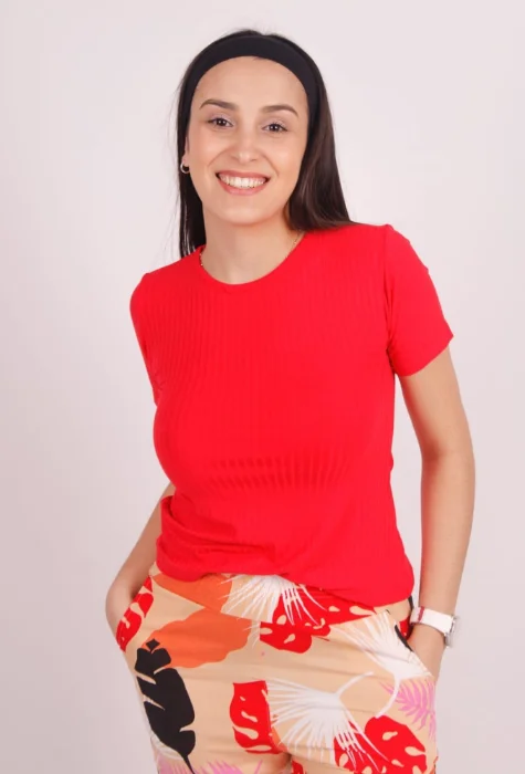 Remera Basica