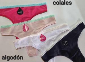 Colales