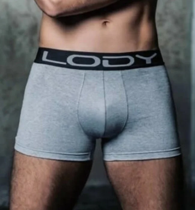 Boxer Lody Liso
