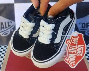Mini Vans Premium Solo X Curva