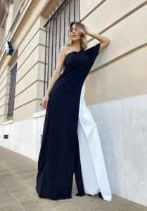 Mono Negro y Blanco