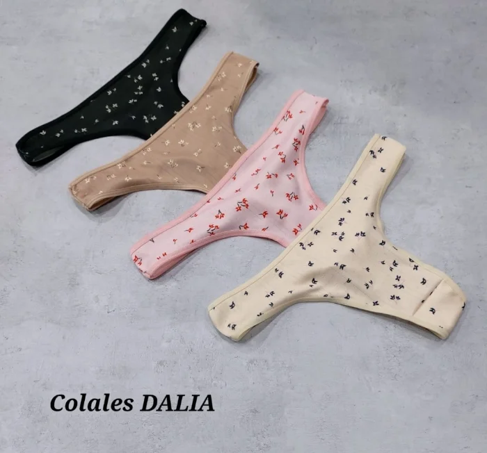 Colaless Dalia