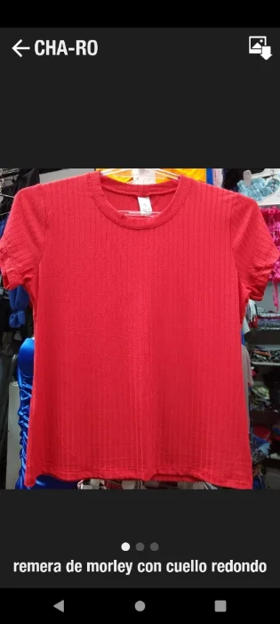 Remera de Morley Viscosa