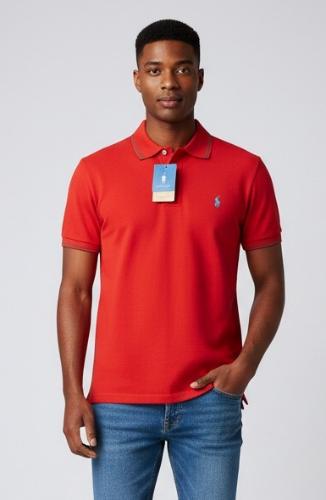 Chombas Bordadas Polo