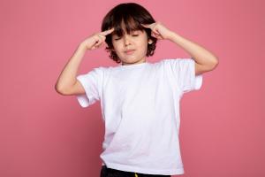 Remera Lisas