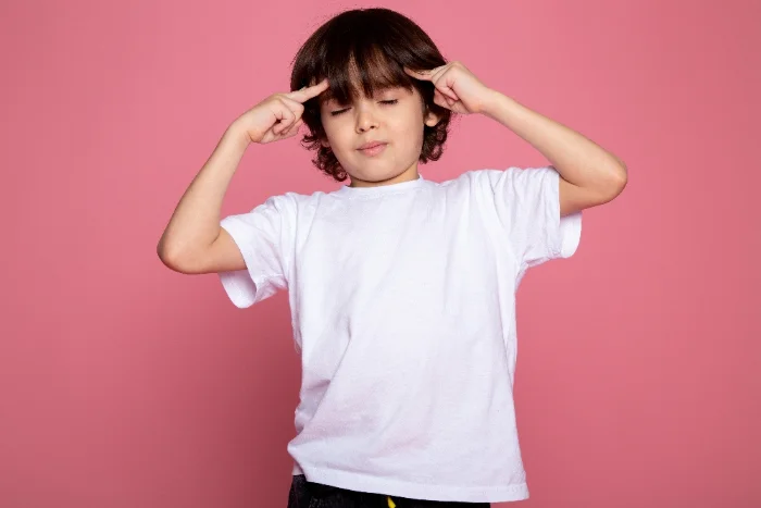 Remera Lisas