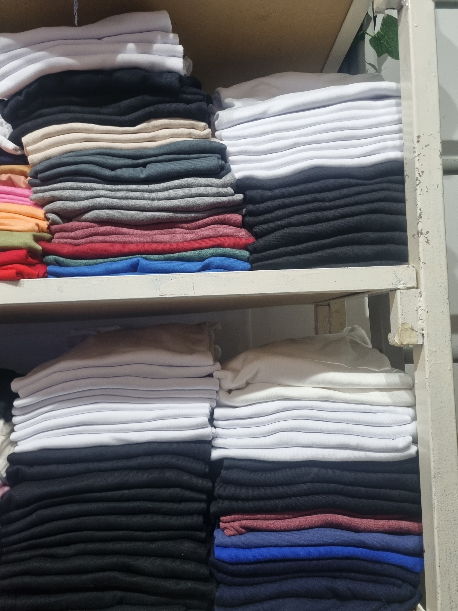 Remera Algodón - Imagen 3