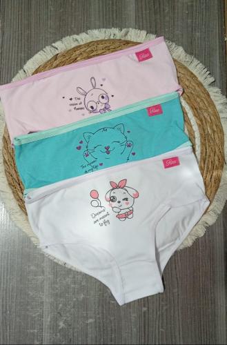 Art 1020 Flau Packs X3