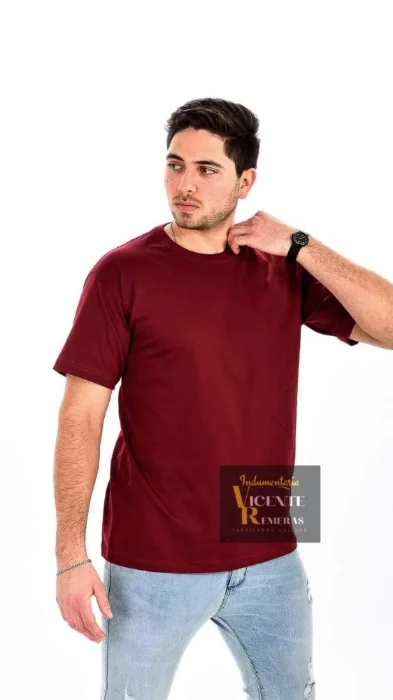 Remeras Lisas Peinado Premium