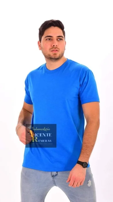 Remeras Lisas Cardado