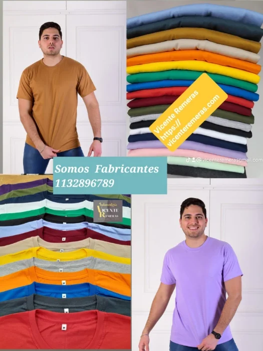 Remeras Lisas Peinado Premium