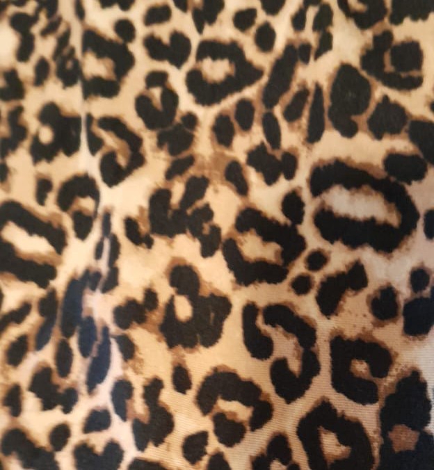 Palazzo Animal Print - Imagen 5