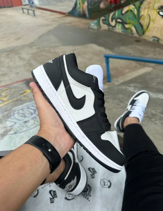 Jordan Low Premiun