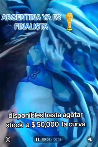 Camisetas Argentina Sublimadas a Solo $ 10,000