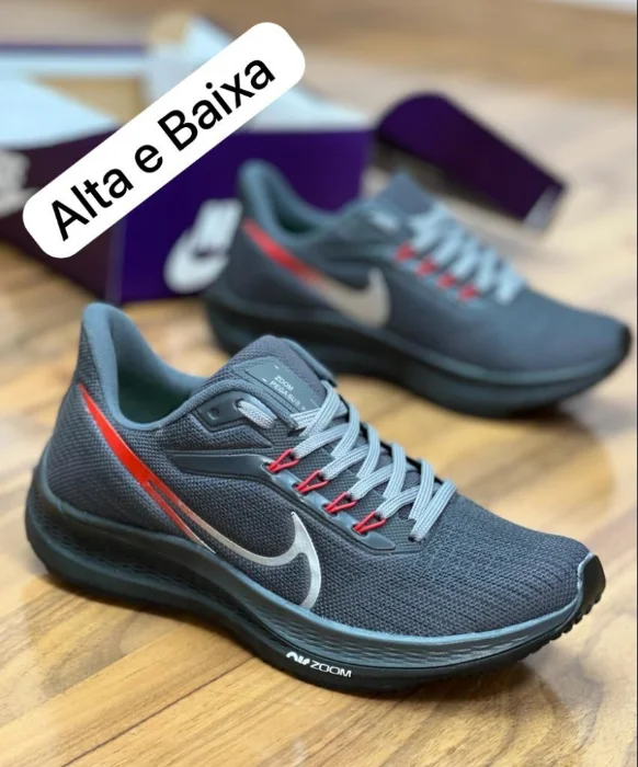 Nike Pegasus Premium Gristopo/bordo
