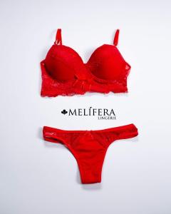 Art.2060 Melifera