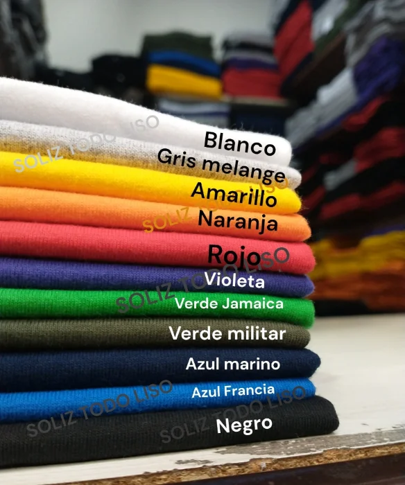 Remeras Lisas Ideal para Estampar