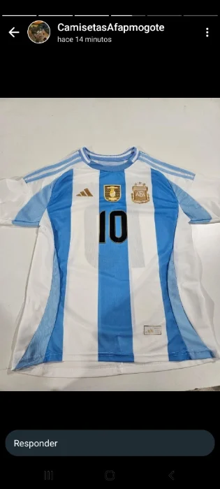 Camiseta Oficial Niño