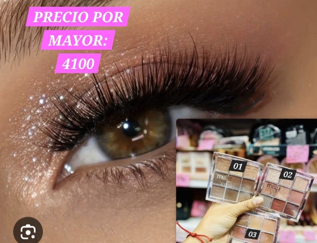 Paleta de Sombra( Varios Modelos y Precios en Cada Foto) - Imagen 3