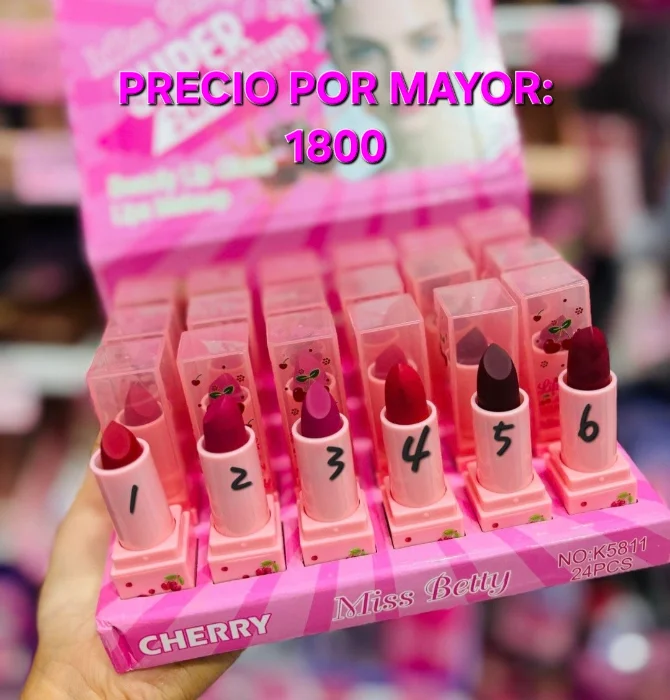 Labial en Barra Matte ( Varios Modelos y Precios en Cada Foto)