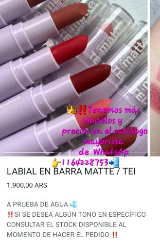 Labial en Barra Matte ( Varios Modelos y Precios)