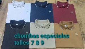 Chomba Especial Lacost