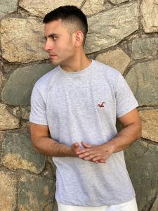 Remeras Hollister Algodón Peinado 24.1