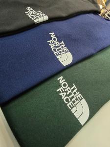 Remeras North Face Algodón Peinado 24.1 - Miniatura 2