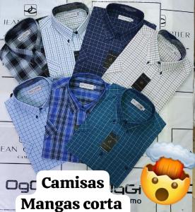 Camisas Mangas Corta