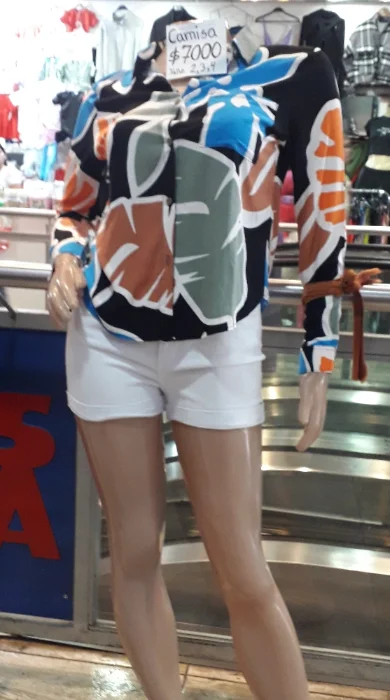 Camisa de Dama Tela Poplin