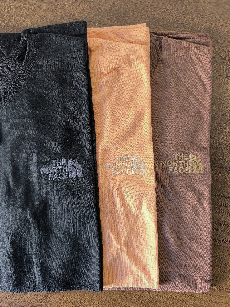 Remera The North Face - Imagen 3