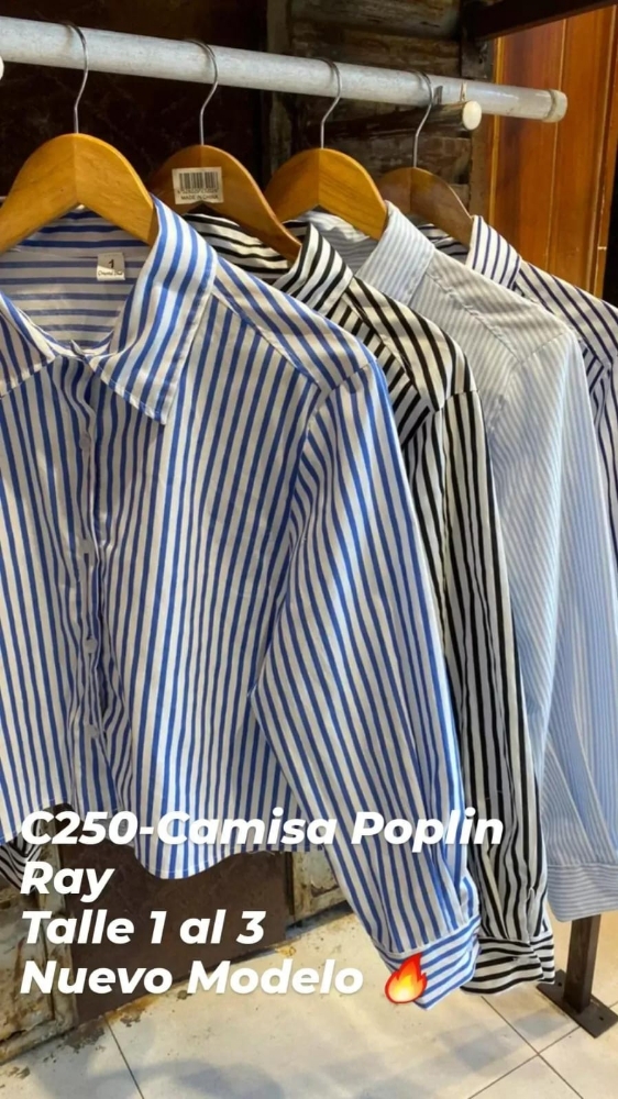 C250 Camisa Rayada M/l Poplin - Imagen 3