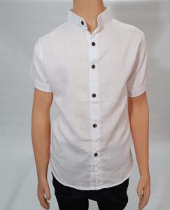 Camisa de Lino