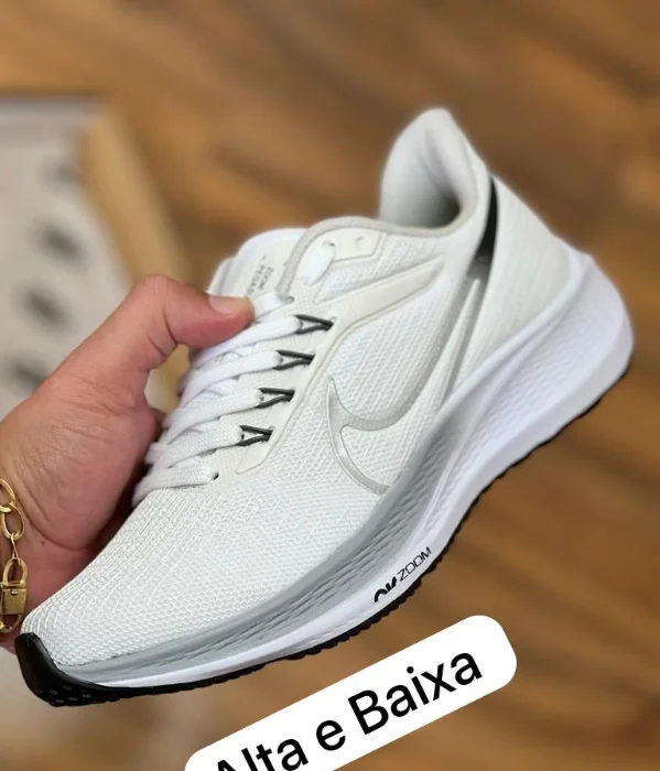 Nike Pegasus Premium Blanco/plata