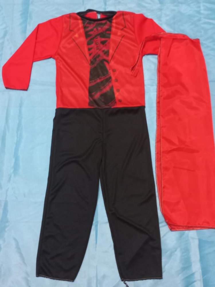 Disfraz Halloween Solo Mayorista Pre Fabricación - Imagen 9