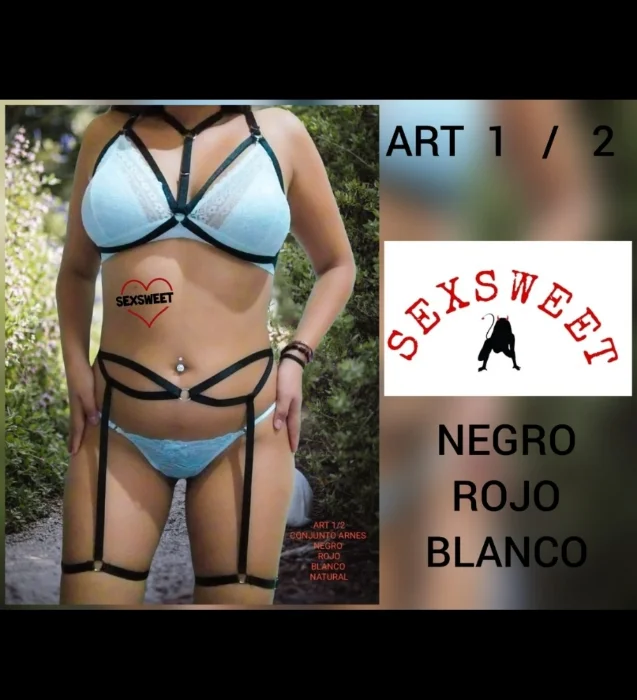 Conjunto Arnes 2 Piezas