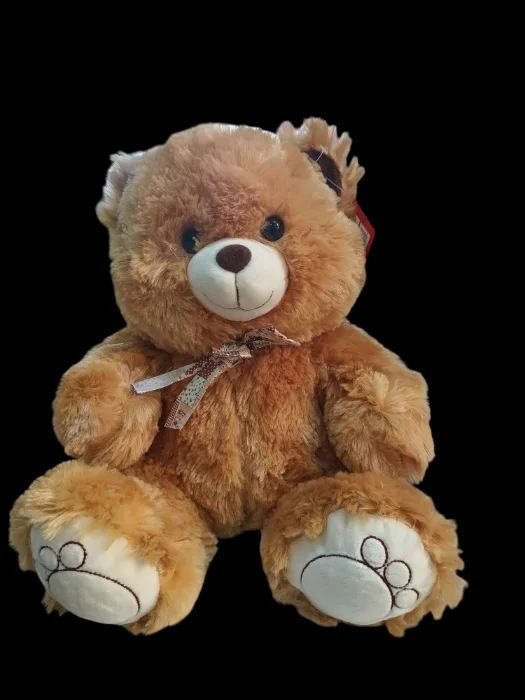 Oso de Peluche