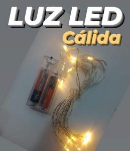 Luz Led 4 Mts Colores