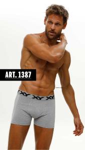 Xy Boxer