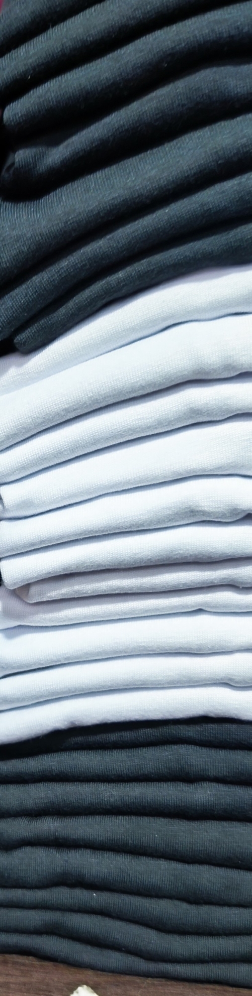 Remera de Algodón C/ Lycra Baby Tee - Imagen 3