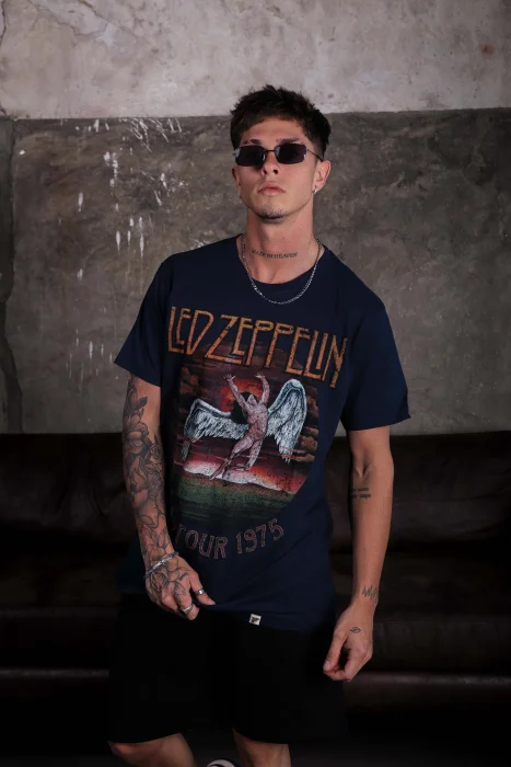Remera Led Zepplin