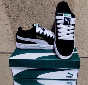Puma Nacional