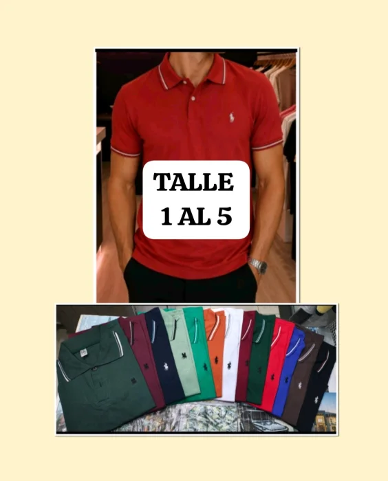 Chombas Polo Algodón Pienado Premium