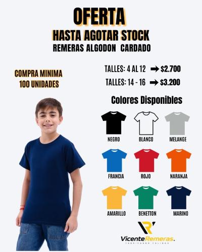 Remeras Lisas Niño