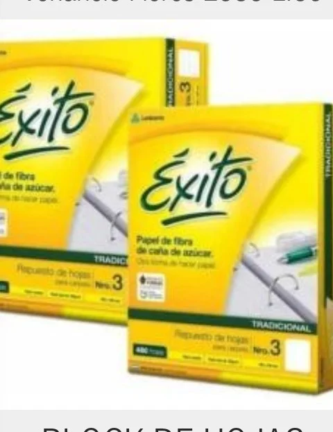 Hojas Exito Blok de 480 Hojas Rayada y Cuadriculado
