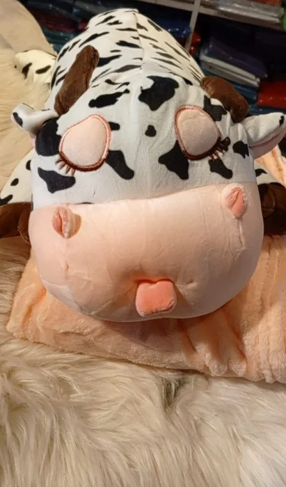Peluche + Manda de Plush